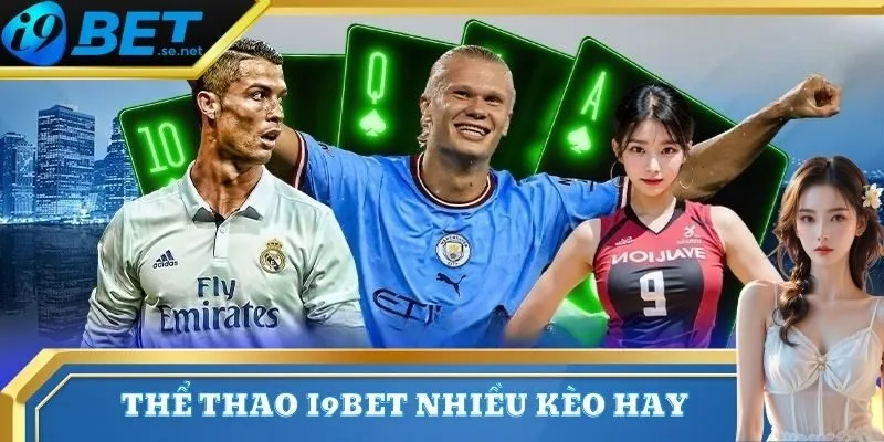 Thể thao 3 Tham gia cá cược bóng đá đa dạng tỷ lệ kèo